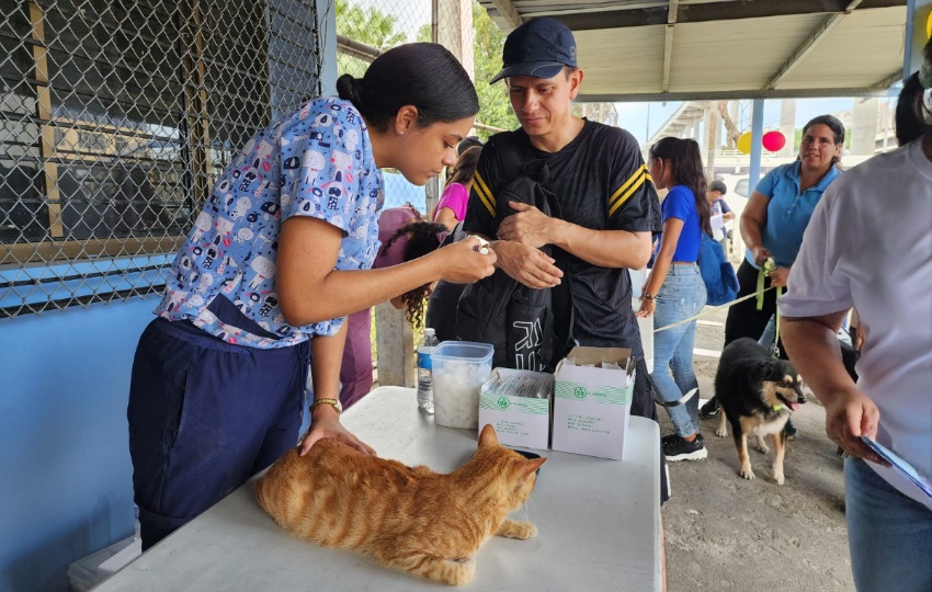 La atención veterinaria fue gratuita. Foto: Cortesía