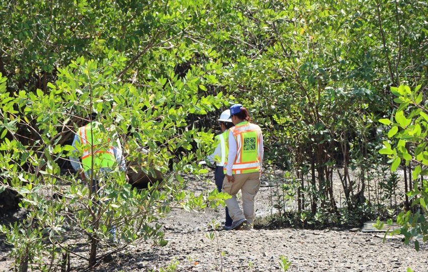 El concejo municipal de Chame había aprobado con antelación la Resolución número 406 del 9 de mayo de 2025, que disponía el uso del vertedero hasta el 30 de julio. Foto. Cortesía