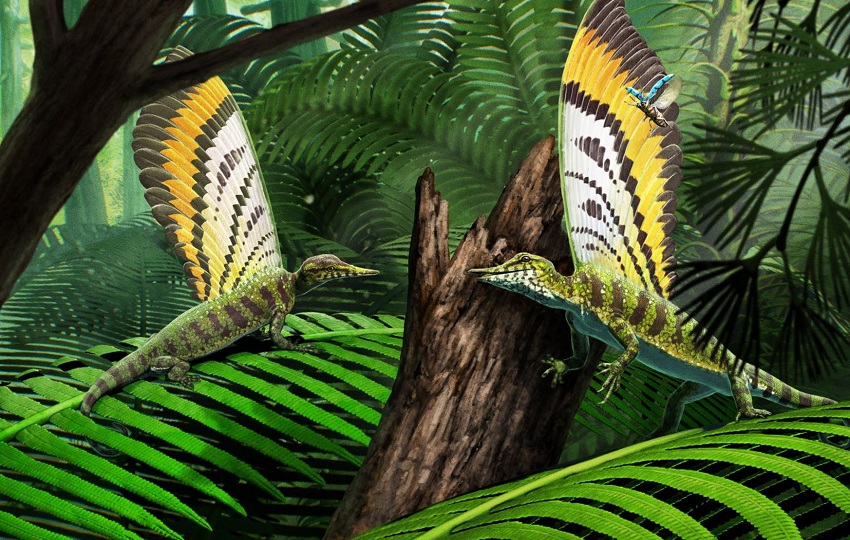 Reconstrucción e ilustración de Mirasaura en su entorno natural cazando insectos. Foto: Gabriel Ugueto