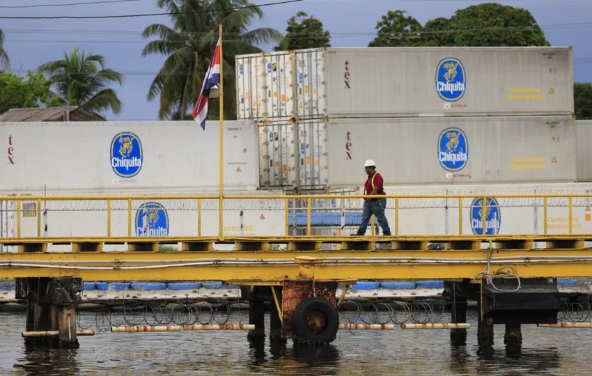 La paralización afectó directamente las operaciones en las plantaciones bananeras. Foto: EFE