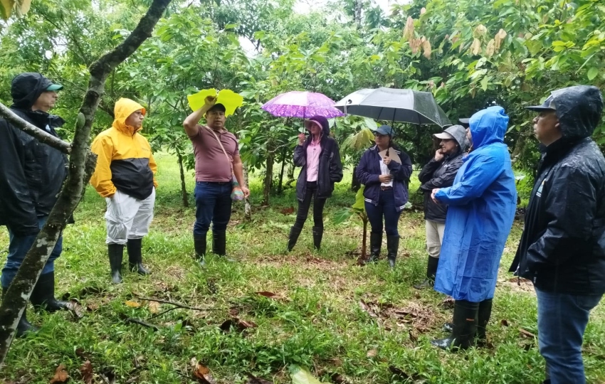 Gira técnica en la provincia de Bocas del Toro. Foto: Cortesía. 