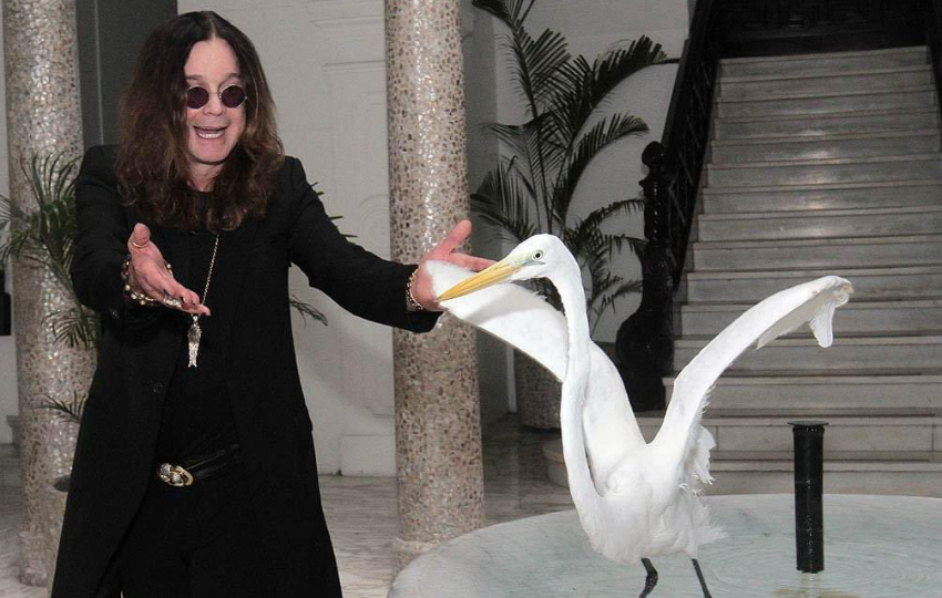 Ozzy Osbourne con una de las garzas del palacio. Foto: X / Ozzy Osbourne