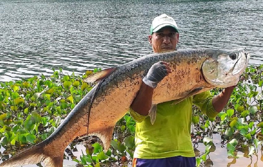 Hay  oportunidad de recorrer en lancha parte del lago Gatún y disfrutar la experiencia de la pesca deportiva. Foto. Eric Montenegro