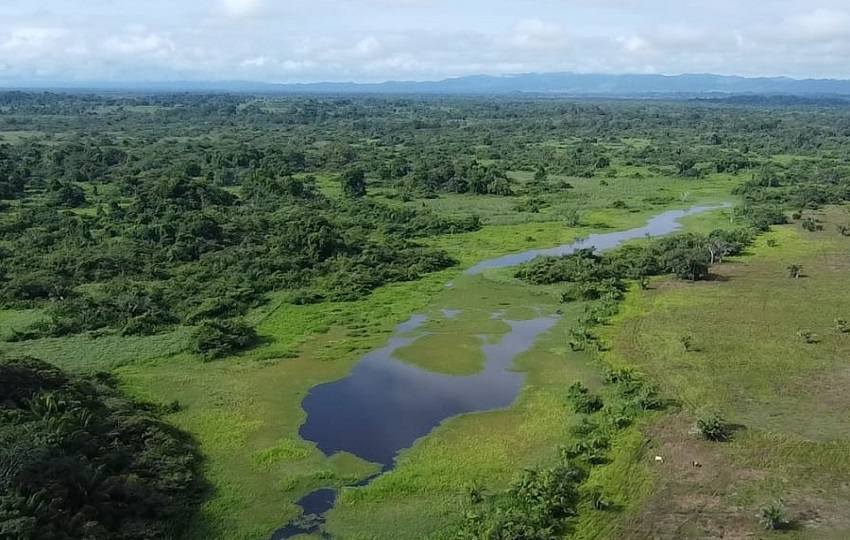 El Complejo de Humedales de Matusagaratí, situado en la provincia de Darién, fue reconocido como Sitio Ramsar. Foto: MiAmbiente