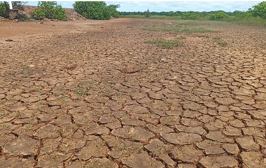 Este sitio es parte del Área Protegida Sarigua y representa no solo un tesoro ecológico, sino también una oportunidad para el crecimiento económico y cultural de la región.  Foto. Melquíades Vásquez