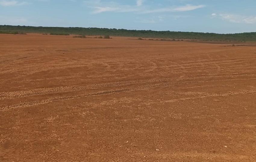  la intensa degradación del suelo y la escasa vegetación, se extiende como un testimonio del impacto ambiental. Foto. Melquíades Vásquez