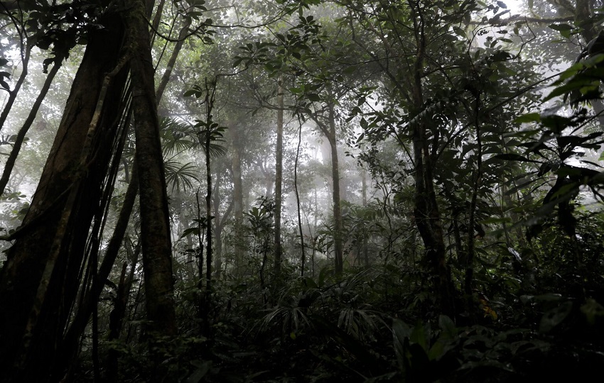 Parque Nacional Campana. Foto: Cortesía