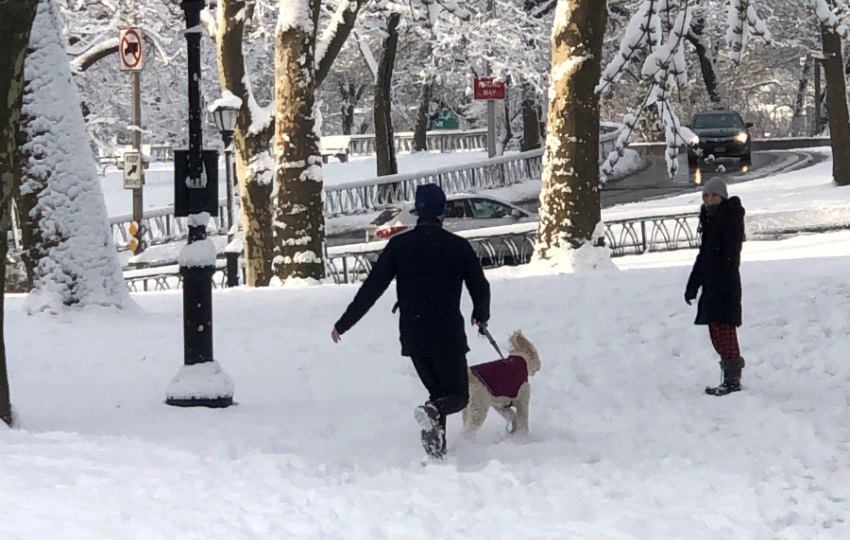 Personas pasean un perro en el parque Riverside, en el Upper West de Nueva York (EE.UU.). Foto: EFE / Javier Otazu