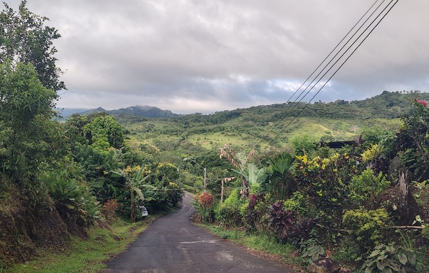 Algunos residentes también han optado por reconvertir el uso de sus tierras, transformándolas en fincas agroturísticas