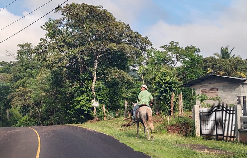 El sendero de la Rana Azul, un lugar boscoso ubicado detrás de la agencia del Ministerio de Desarrollo Agropecuario (MIDA) en el Cacao