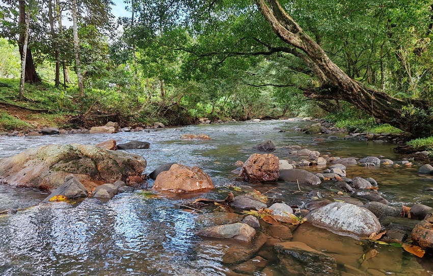Una vez se llega al poblado, la carta de presentación es el río Cacao, el cual nace en el Parque Nacional y Reserva Biológica Altos de Campana.