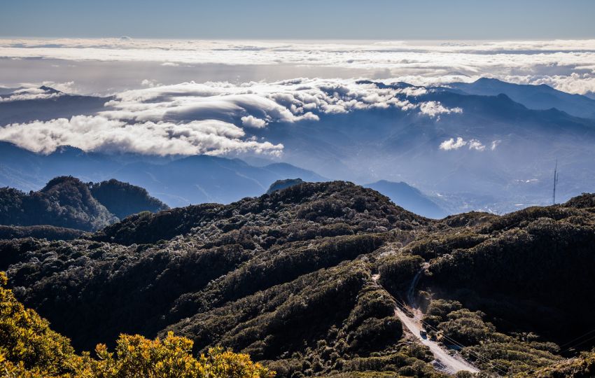 Las áreas protegidas tienen un papel vital para la conservación de la biodiversidad nacional. Foto: Cortesía