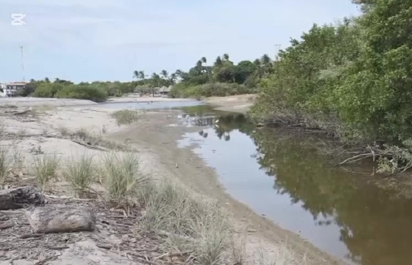 Se ha denunciado la grave afectación que tendrá cualquier tipo de obra en los manglares de playa Ensenada. Foto. Eric Montenegro