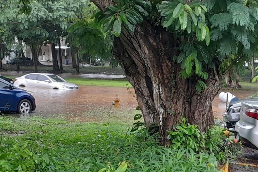 lluvias_caidas_de_arboles_anegacion_sinaproc-panama.jpg