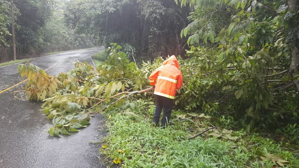 lluvias_caidas_de_arboles_anegacion_sinaproc.jpg