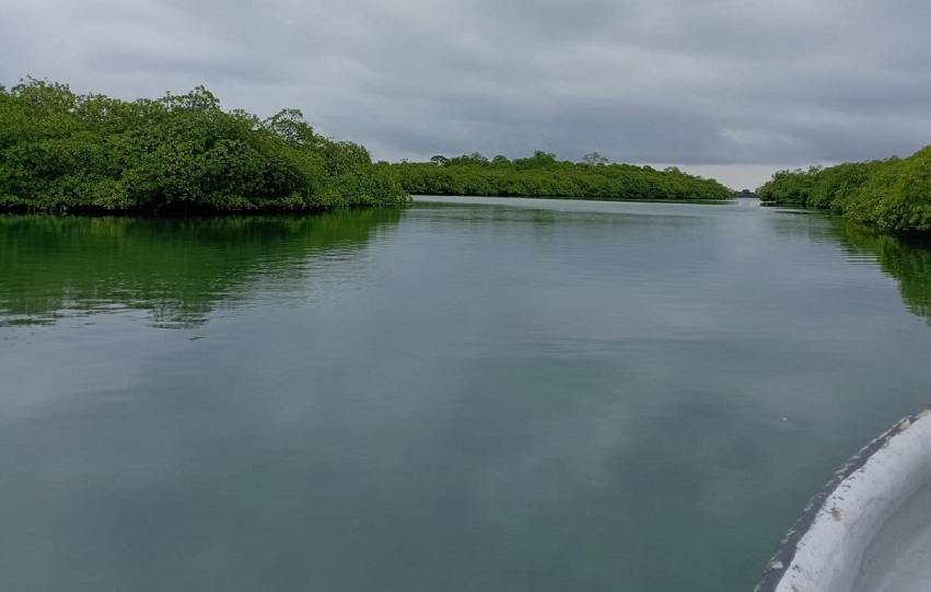 rumbos-venasazules-paseo.jpg