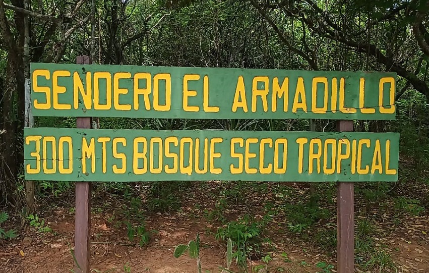 sarigua-reporte_2.jpg sarigua-reporte_2.jpg