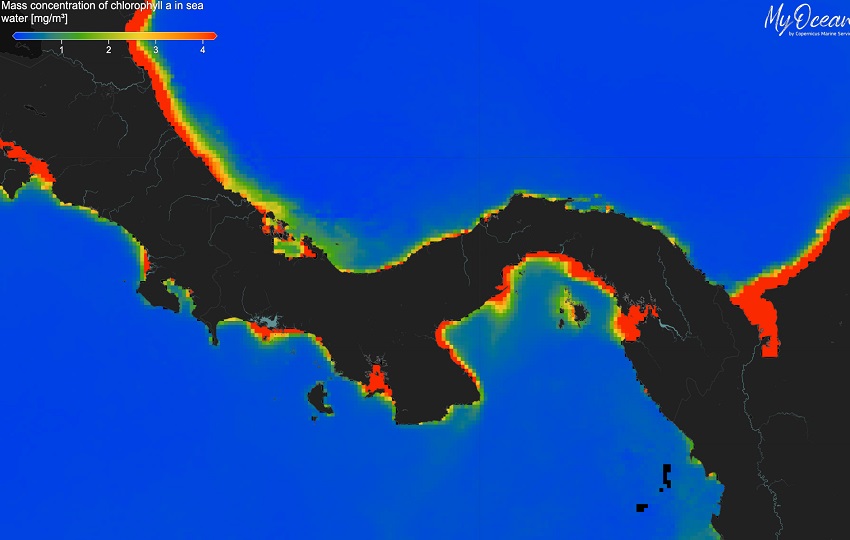 Concentraciones extremadamente bajas de clorofila en los océanos alrededor de Panamá en febrero de 2025. Foto: Aaron O’Dea