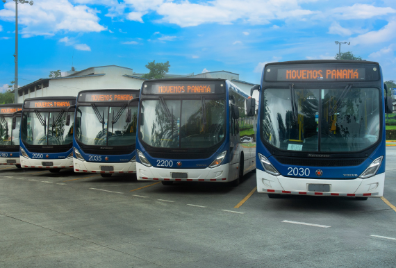 MiBus cuenta actualmente con 1,436 unidades de transporte colectivo. Foto: Cortesía MiBus cuenta actualmente con 1,436 unidades de transporte colectivo. Foto: Cortesía