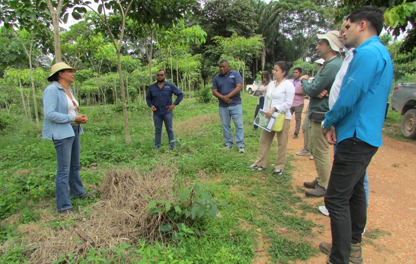 Los visitantes conocieron el vivero forestal del proyecto. Foto: Cortesía
