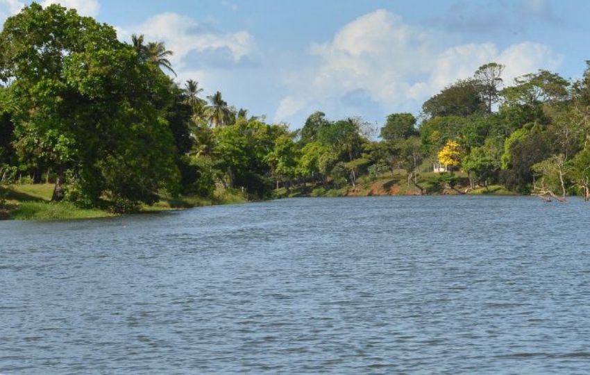 Río Indio. Foto: Cortesía