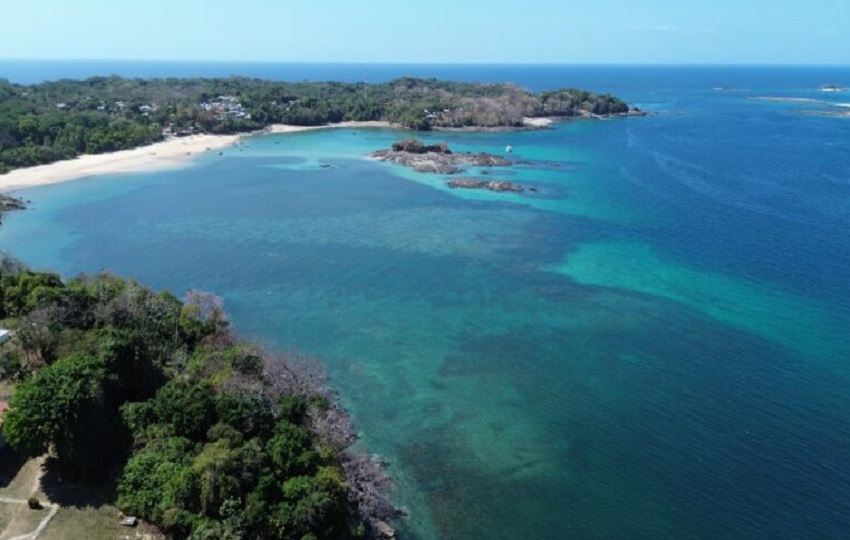 El Refugio de Vida Silvestre Saboga responde a la necesidad de proteger varias especies importantes de aves, cetáceos y tiburones. Cortesía