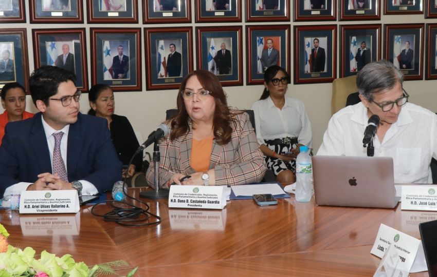 Comisión de Credenciales de la Asamblea Nacional. Foto: Cortesía