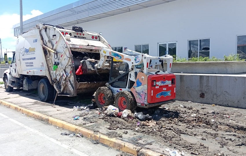 A todo esto, la empresa Aguaseo S.A., realizó recientemente una jornada de recolección en la segunda etapa de Alto de Los Lagos. Foto. Diómedes Sánchez