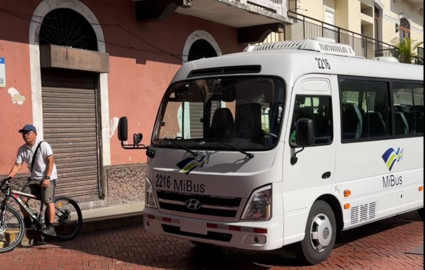 Buses medianos de MiBus. Foto: Cortesía Buses medianos de MiBus. Foto: Cortesía