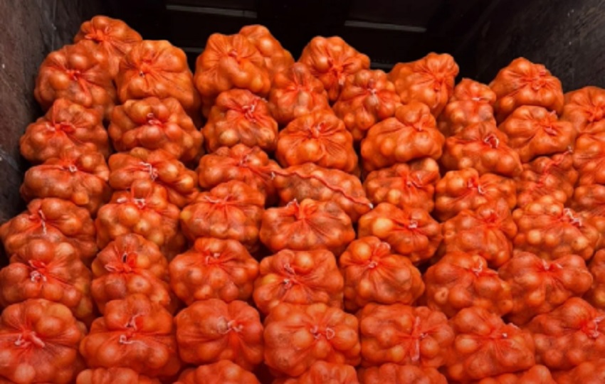 Ante la falta de sustentos, el personal procedió a retener el cargamento y trasladarlo a las instalaciones de Aduanas en David. Foto. Aduanas