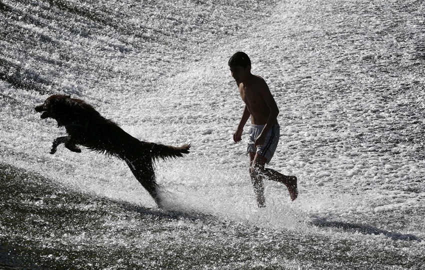 Los rasgos distintivos del cráneo de los perros aparecieron por primera vez durante el Holoceno temprano.