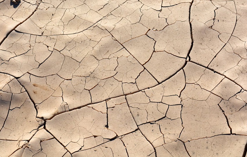 Las graves sequías y la pérdida de tierras fértiles ya están afectando a la producción de alimentos y energía, según especialista. Foto: Ilustrativa/Pexels