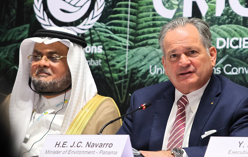 Para 2050 podrían degradarse 16 millones de kilómetros cuadrados de tierra. Foto: EFE