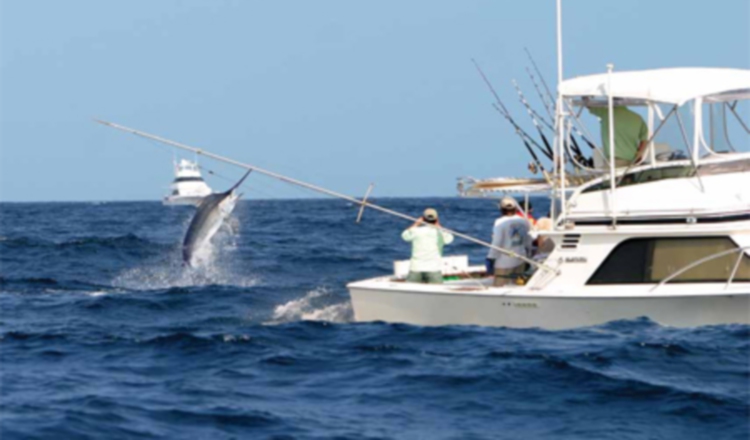 Pesca Deportiva panameña. Foto: ilustrativa/Epasa