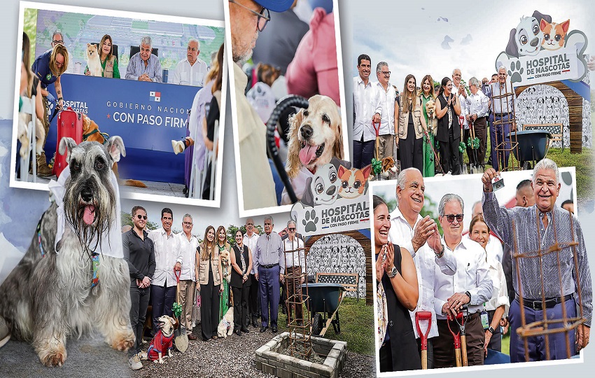 La instalación, cuyo costo asciende a 14,132,447.45 dólares, estará ubicada en el área de Costa Sur, corregimiento de Don Bosco. Foto: Epasa La instalación, cuyo costo asciende a 14,132,447.45 dólares, estará ubicada en el área de Costa Sur, corregimiento de Don Bosco. Foto: Epasa