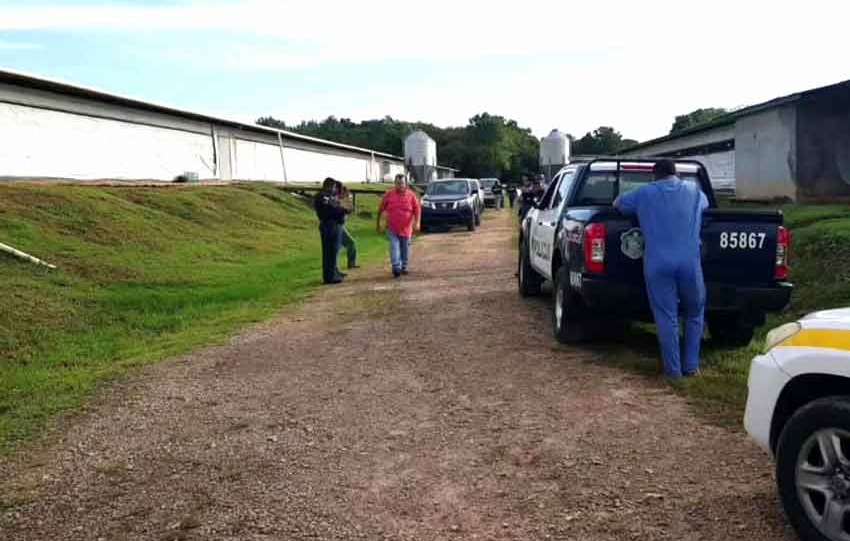 Vecinos se quejaban por los desagradables olores provenientes de la finca. Fotos Eric Montenegro Vecinos se quejaban por los desagradables olores provenientes de la finca. Fotos Eric Montenegro
