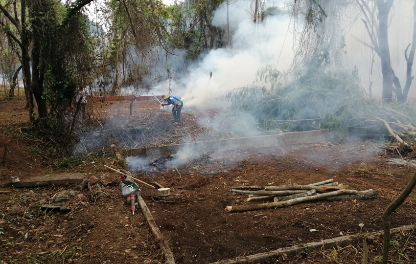 Cualquier quema mal manejada puede afectar gravemente la vegetación. Foto: Eric Montenegro Cualquier quema mal manejada puede afectar gravemente la vegetación. Foto: Eric Montenegro