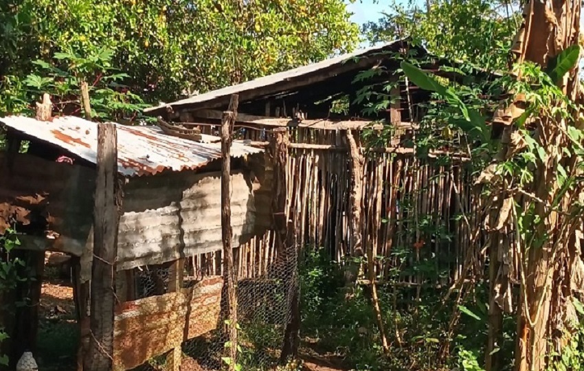 Las precipitaciones también causaron daños significativos en caminos y vías de acceso, agravando el aislamiento de comunidades rurales y evidenciando, según residentes, el prolongado abandono por parte de las autoridades. Foto. Melquíades Vásquez