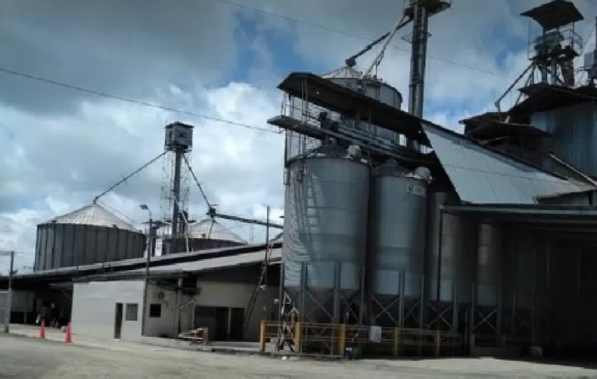 En lo que va del año se han reportado un total de 14 crímenes en la provincia de Chiriquí.