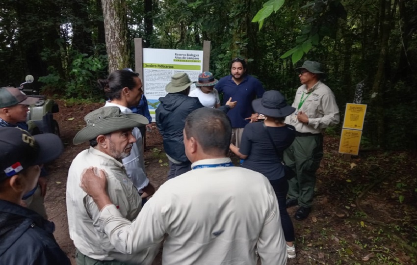 Durante la inspección. Foto: MiAmbiente
