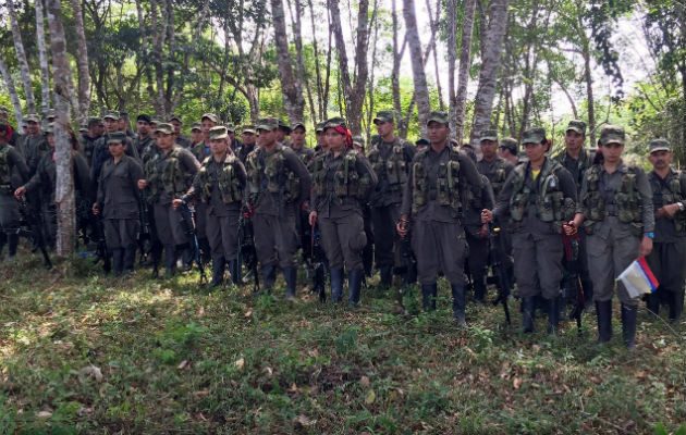 Miembros de la FARC. Foto: Archivo