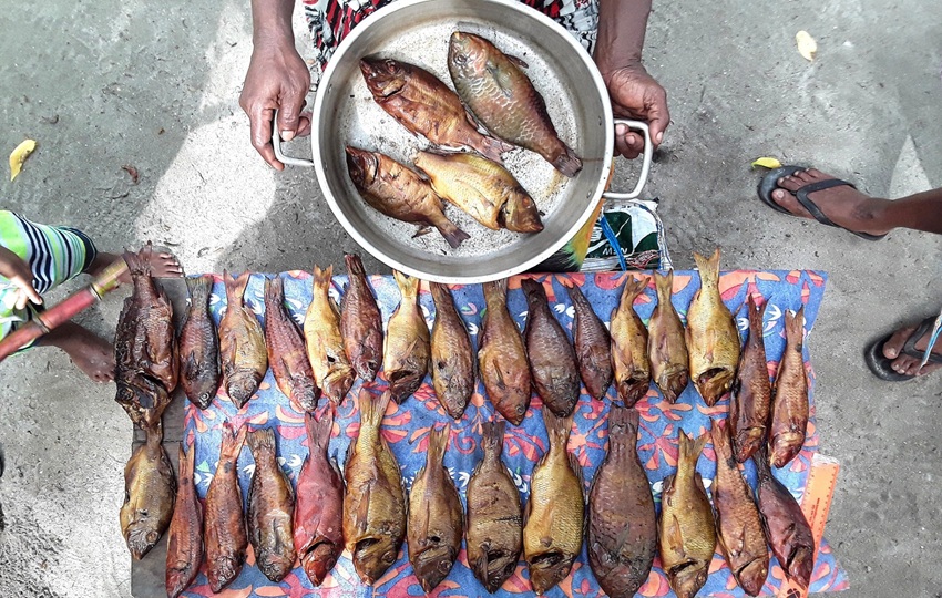 Una variedad de peces de arrecife ahumados. Foto: Jessica Zamborain-Mason