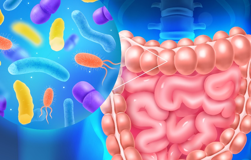 Microbioma intestinal. Foto:  Ilustrativa / Freepik