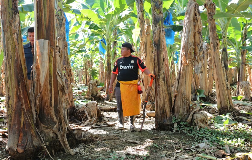 El programa, hasta la fecha, ha brindado atención médica a 753 personas. Foto: Cortesía El programa, hasta la fecha, ha brindado atención médica a 753 personas. Foto: Cortesía