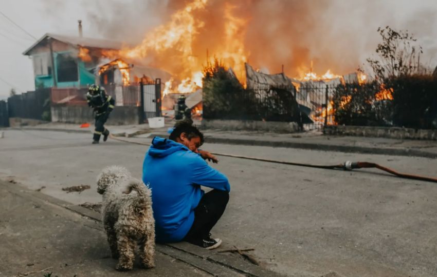 Casas afectadas por incendios forestales en Chile. Foto: EFE