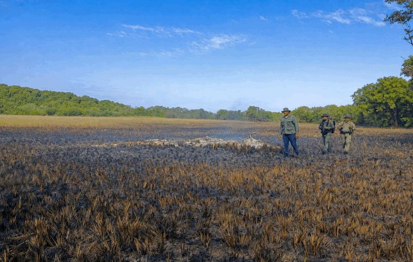 Se detectaron incidentes relacionados con incendio de masa vegetal. Foto: Cortesía