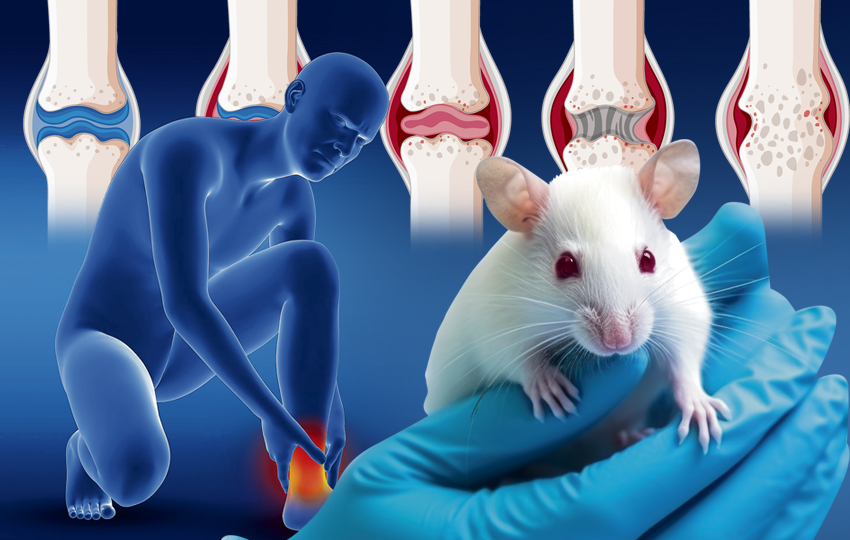 La ciencia encontró el 'botón' que inicia la destrucción y la forma de apagarlo. Foto: Ilustrativa / Freepik