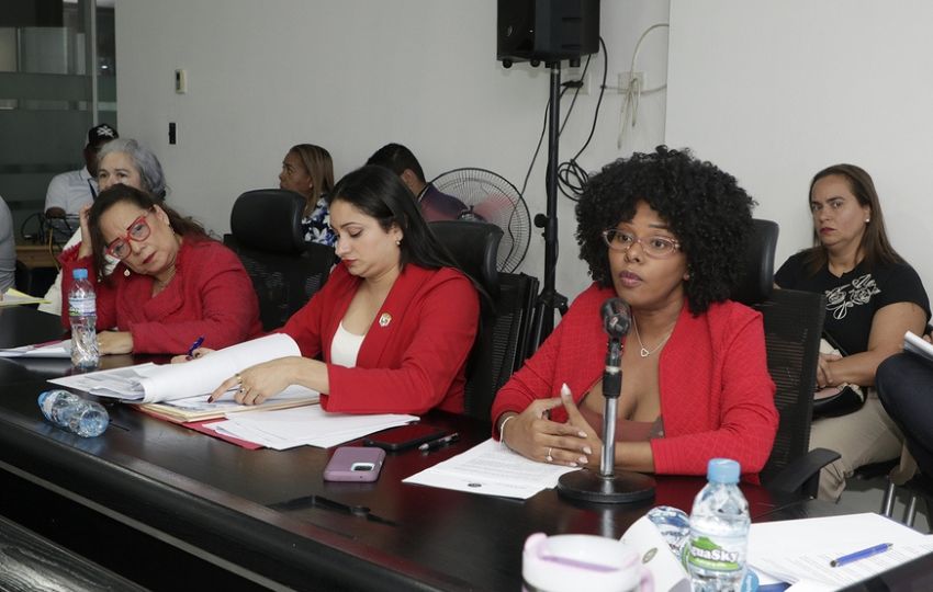 Subcomisión de Trabajo, Salud y Desarrollo Social de la Asamblea Nacional. Foto: Cortesía Subcomisión de Trabajo, Salud y Desarrollo Social de la Asamblea Nacional. Foto: Cortesía