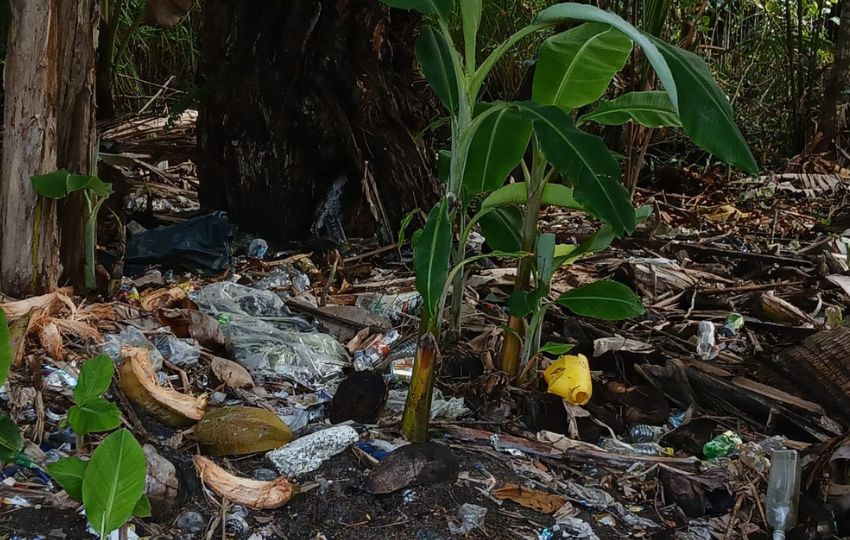 Se hallaron depósitos de desechos sólidos, deforestación, viviendas permanentes. Foto: Cortesía