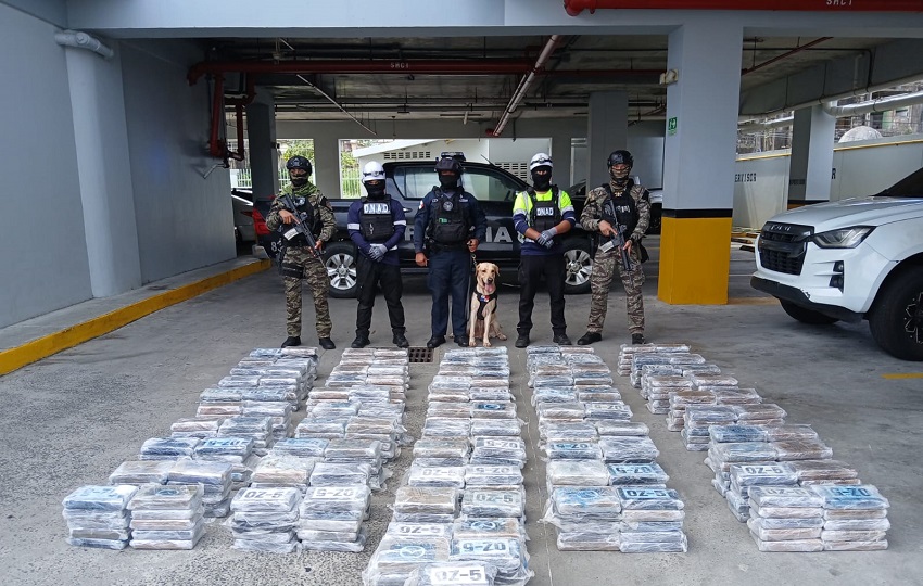 El hallazgo se produjo tras labores de inteligencia, perfilamiento y verificación de la carga, lo que permitió a las autoridades detectar irregularidades. Foto. PN